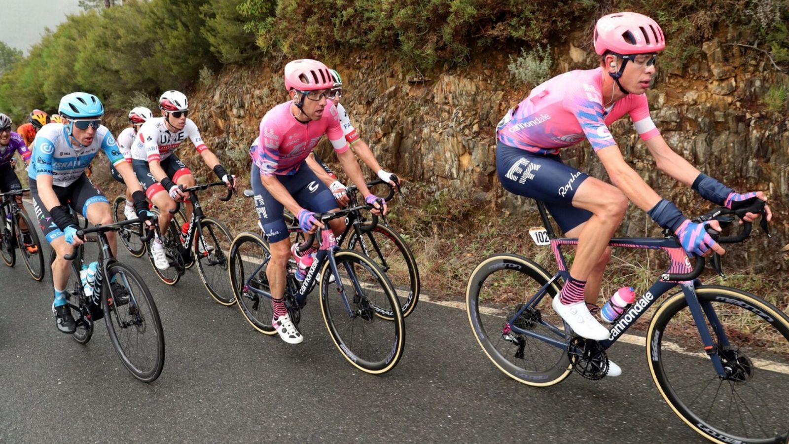 Vuelta ciclista a España 2020 - 17ª Etapa: Sequeros - Alto de la Covatilla (Podium) - ver ahora