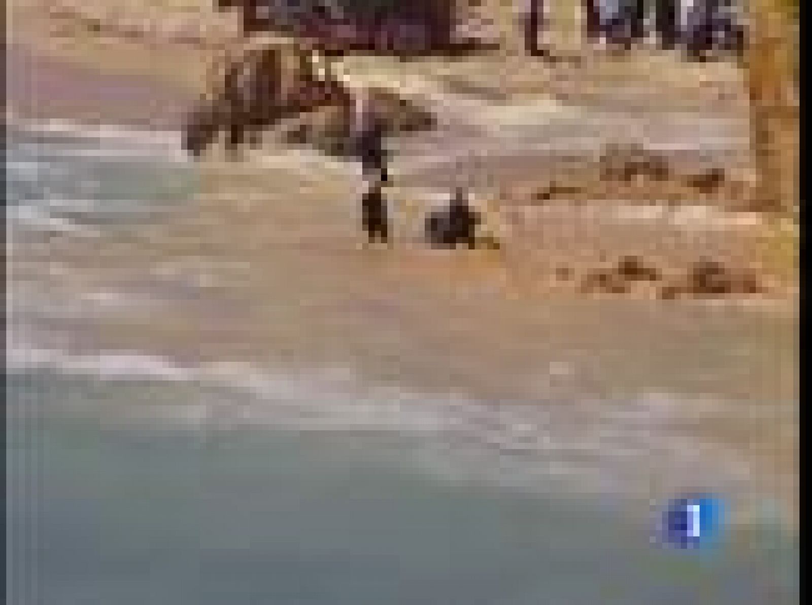 Cinco personas han muerto en el Algarve, en Portugal, al desprenderse unas rocas de la playa en la que estaban. Hay además 3 heridos y un desaparecido, todos de nacionalidad portuguesa. 