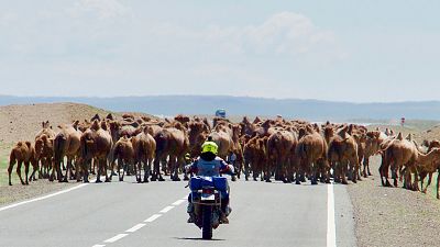 Diario de un nmada - Las huellas de Gengis Khan: Navegando la infernal estepa de Mongolia - ver ahora