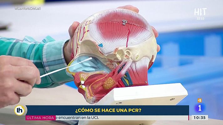 La hora de La 1 - ¿Cómo se hace una PCR?