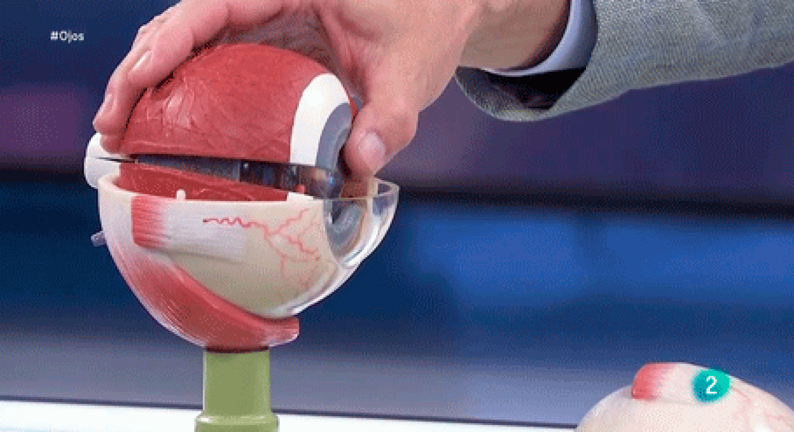 La aventura del saber Oftalmólogia impacto de covid-19 Nicolás Romero Miguel Ángel Teus EUROCOVCAT #AventuraSaberSalud