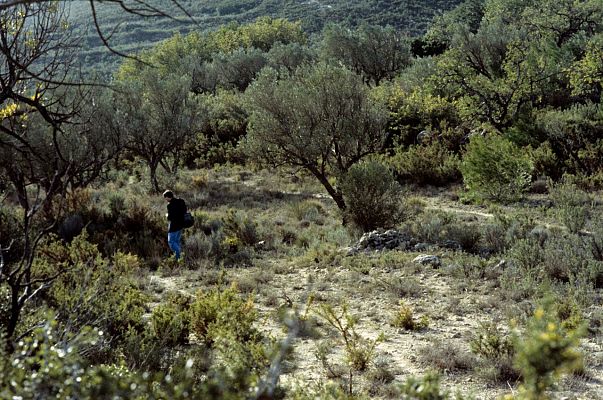 El ADN confirma que los huesos encontrados en 2019 son de una de las niñas de Alcàsser