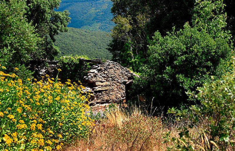  Sigue abierta la operación policial contra ETA en Francia