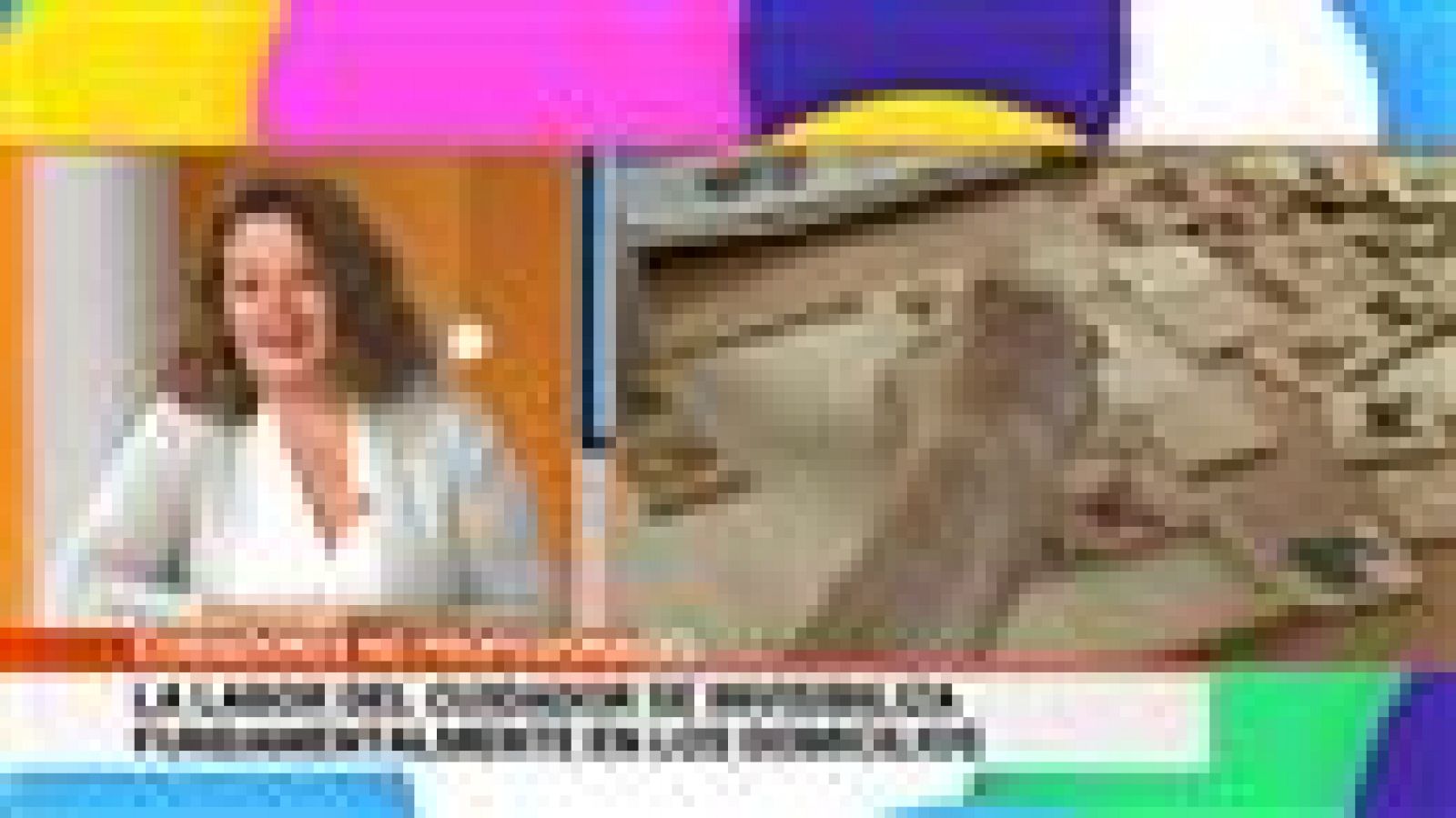 Cerca de ti - 10/11/2020