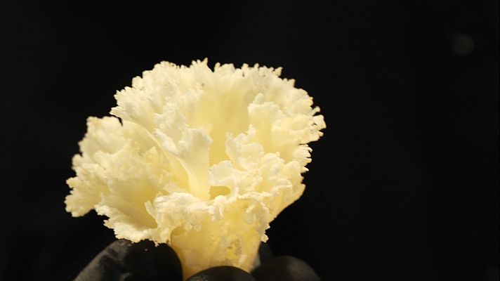 Aquí la Tierra - Flores comestibles de queso: ¿cómo se elaboran?