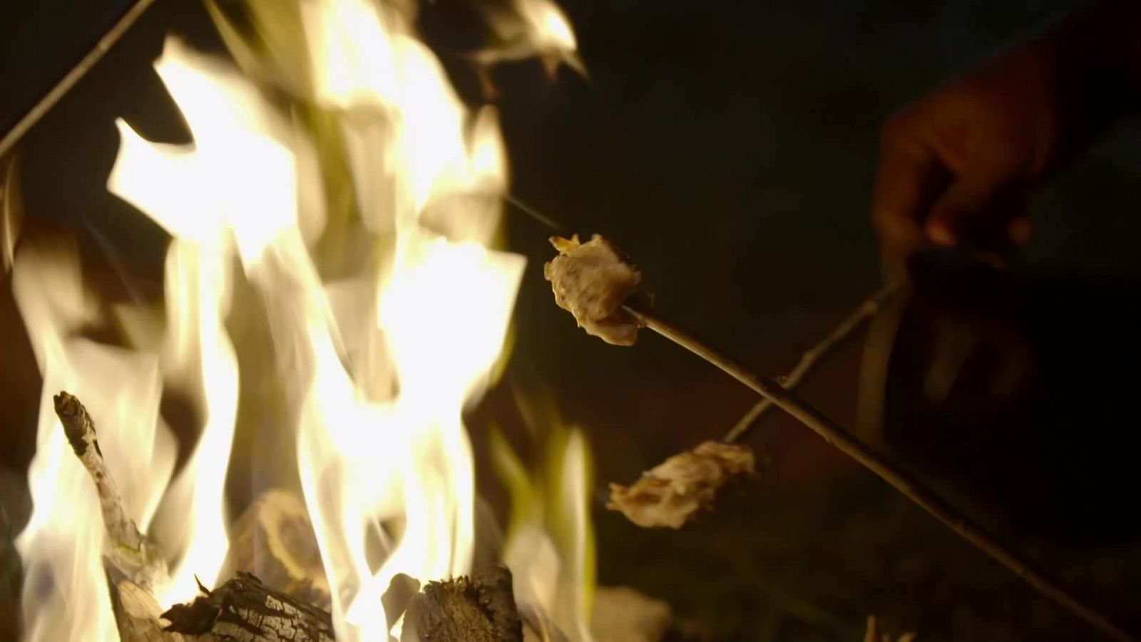 Somos documentales - Momentos mágicos de la Edad de Piedra - ver ahora
