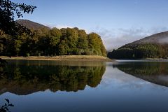 Aquí la Tierra - Flora en la Selva de Irati: ¿qué cambios llegan con el otoño?