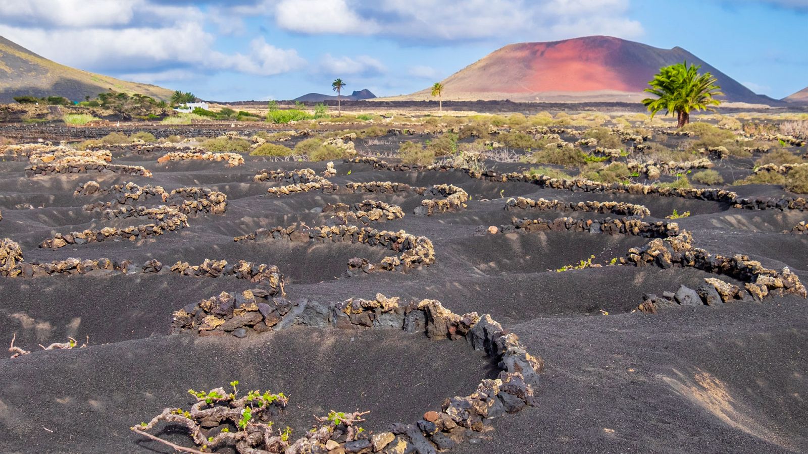 Las mínimas suben en gran parte del noroeste peninsular y en Canarias