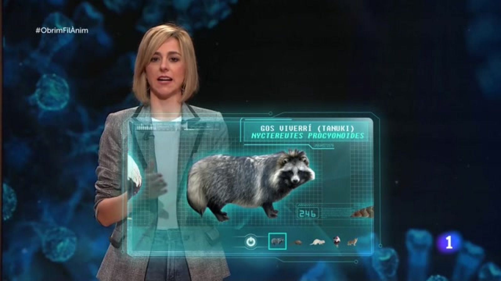 Obrim fil - Quins animals encomanen el coronavirus? - RTVE Catalunya