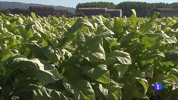 La Junta de Extremadura recomienda no perimetrar la ciudad de Badajoz