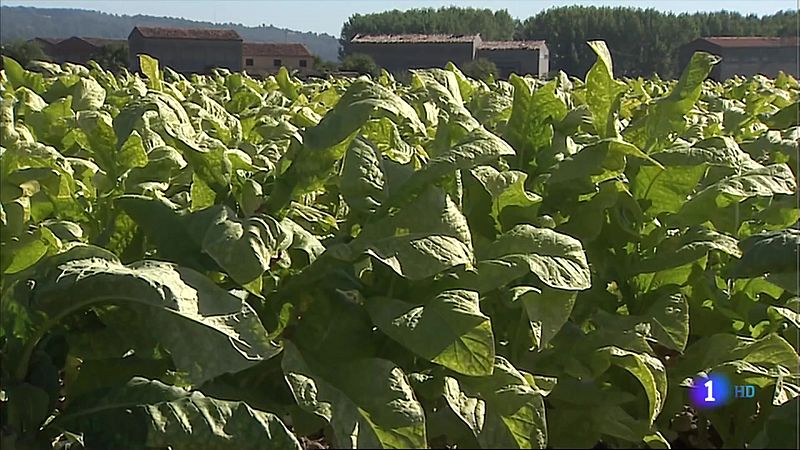 La Junta de Extremadura recomienda no perimetrar la ciudad de Badajoz