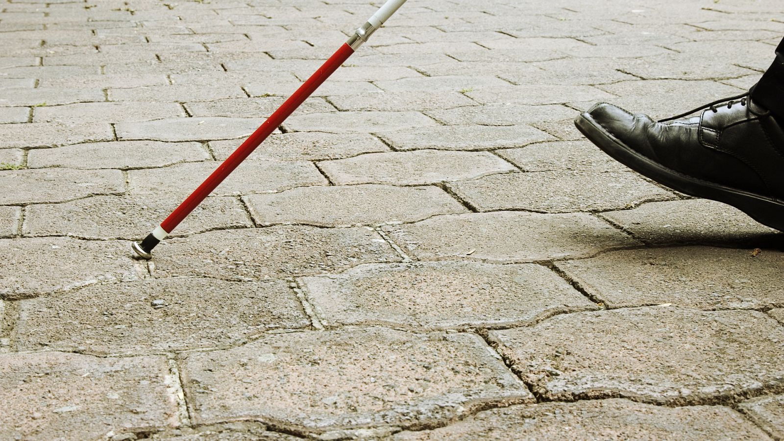 Guías voluntarias para ciegos