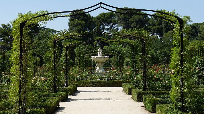 España Directo - España Directo - 13/11/20