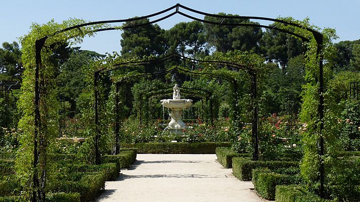 España Directo - España Directo - 13/11/20