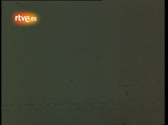 Música en el Archivo de RTVE - The Beatles: Vuelven Los Beatles