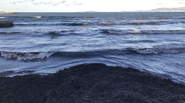 El tiempo - Precipitaciones localmente fuertes en el oeste de Galicia y la isla de la Palma