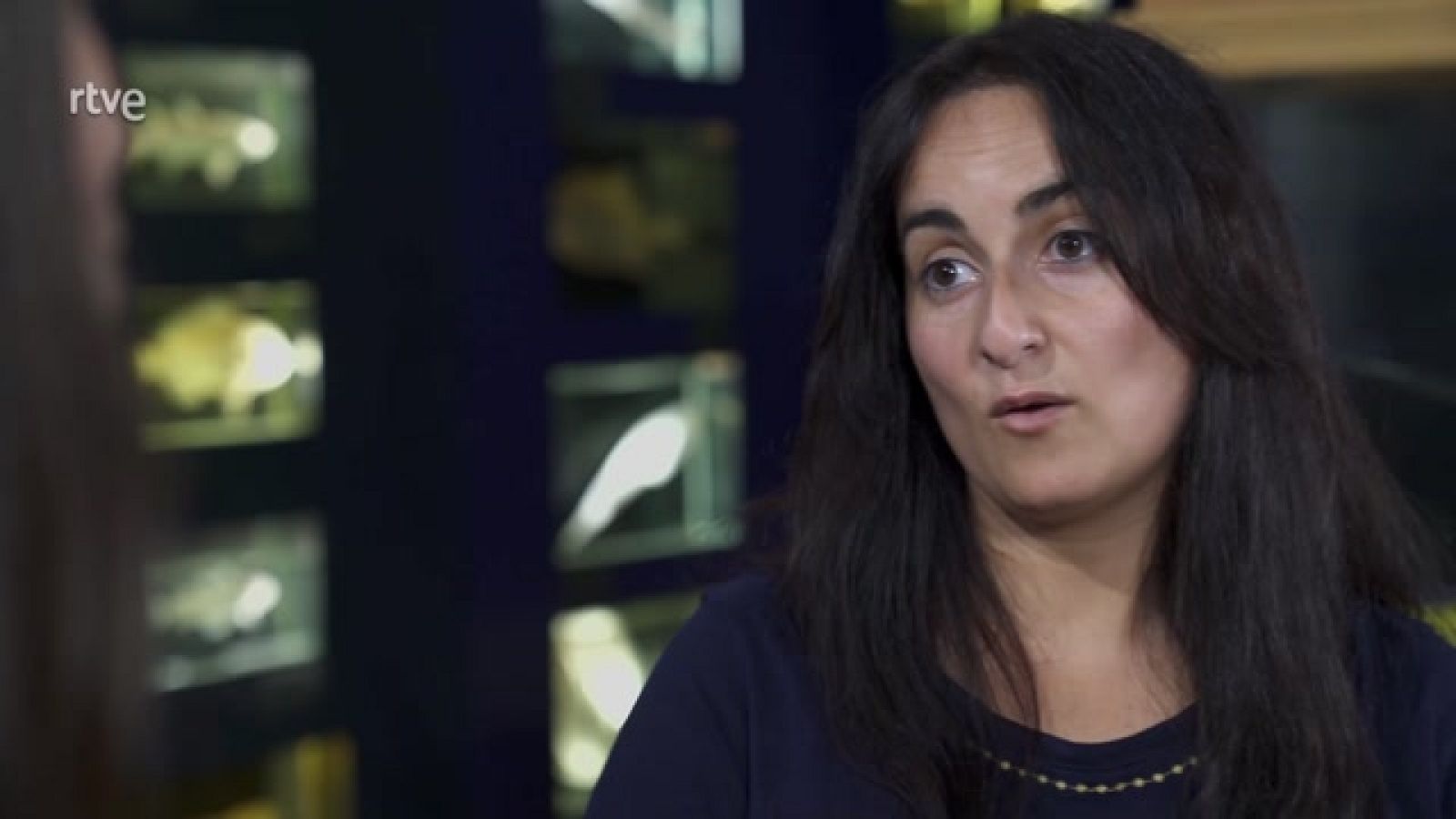 La bióloga Laura Miralles obtiene la primera prueba mundial de hibridación entre calderones