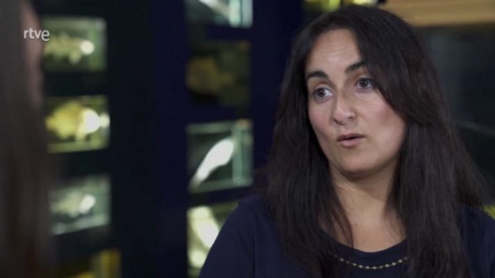 ¡Qué animal! - Laura Miralles, biologa e investigadora marina