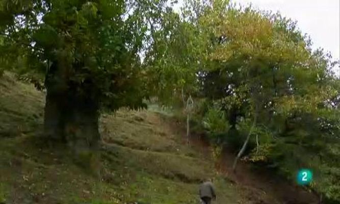 Agrosfera - Palacios del Sil