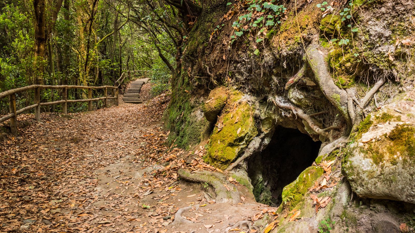 Temperaturas diurnas en descenso en el extremo norte peninsular y valle del Ebro, en aumento en Canarias