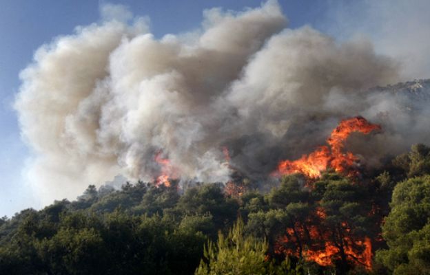 La situación en Grecia es tranquila