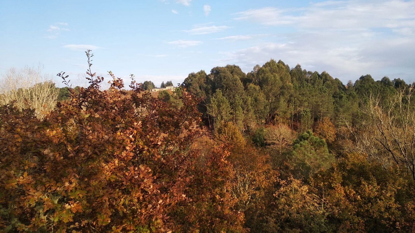 Predominio de vientos de componente sur en Galicia y el Cantábrico