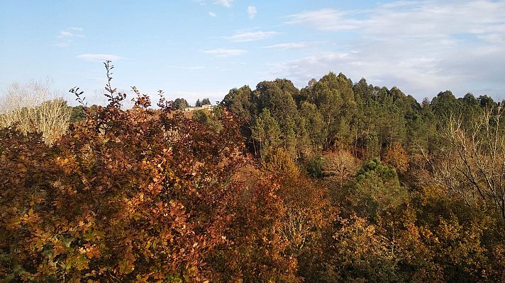 Predominio de vientos de componente sur en Galicia y el Cantábrico