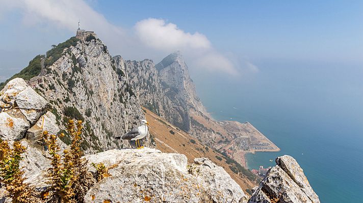 El tiempo - Viento fuerte o con intervalos de fuerte en el bajo Ebro, Ampurdán, Menorca y Estrecho