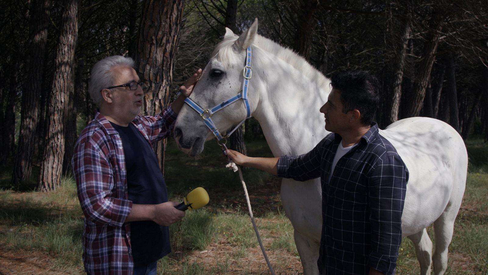 El paisano - Rubielos de Mora - RTVE.es