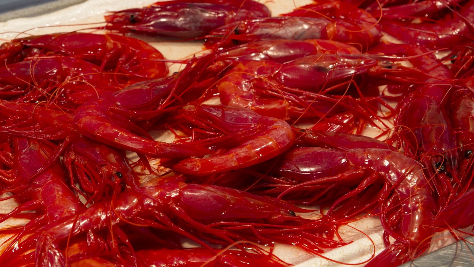 El sector pesquero, dividido ante el 'Red Friday'