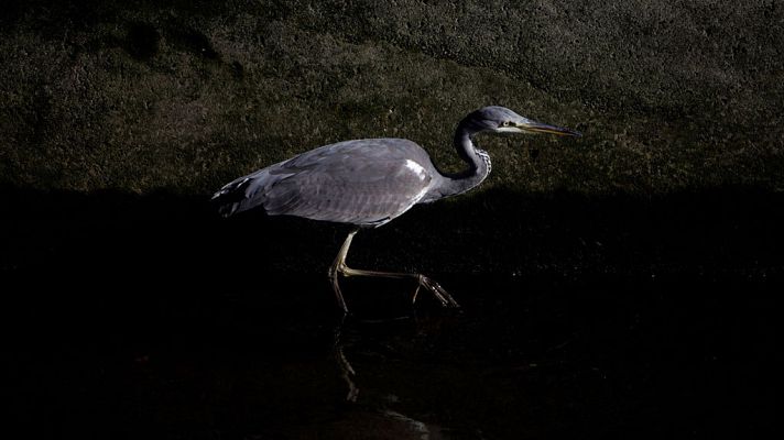 El tiempo - Predominará la estabilidad pero descenderán las temperaturas