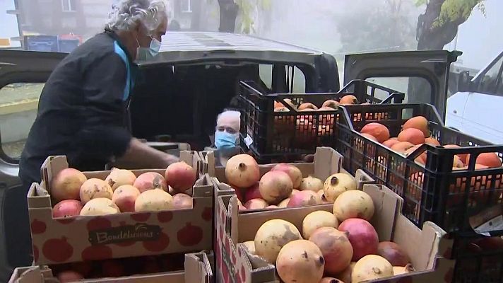 Agrosfera - Agrosfera - 21/11/20