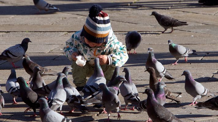 El tiempo - Intervalos nubosos en la mitad sur del área mediterránea peninsular y Baleares