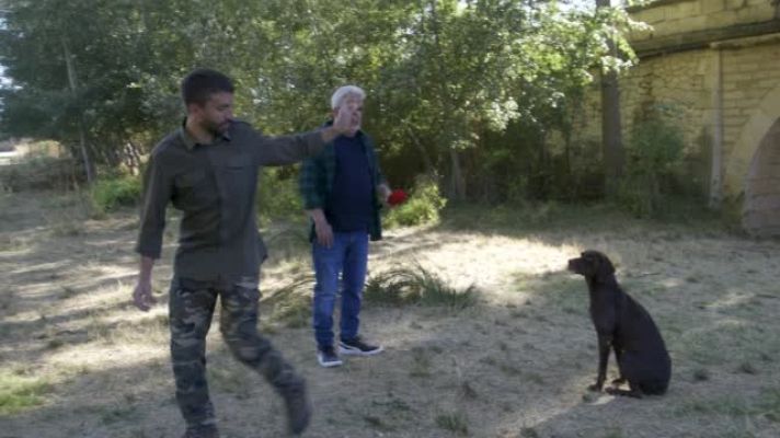 Fer, un perro experto en inglés y alemán