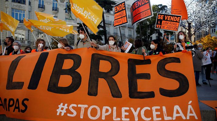 Telediario 1 - Telediario 1 en 4' - 22/11/20