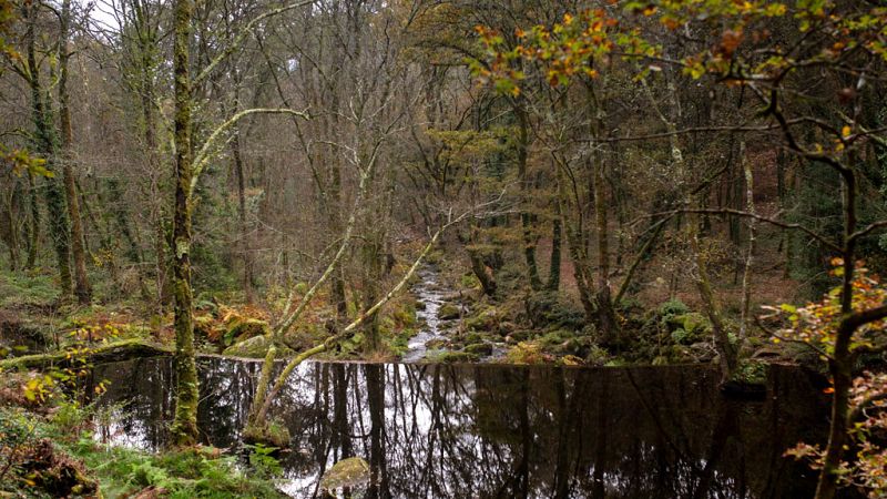 Las temperaturas diurnas aumentarán en el Cantábrico y zonas de  montaña de la Península