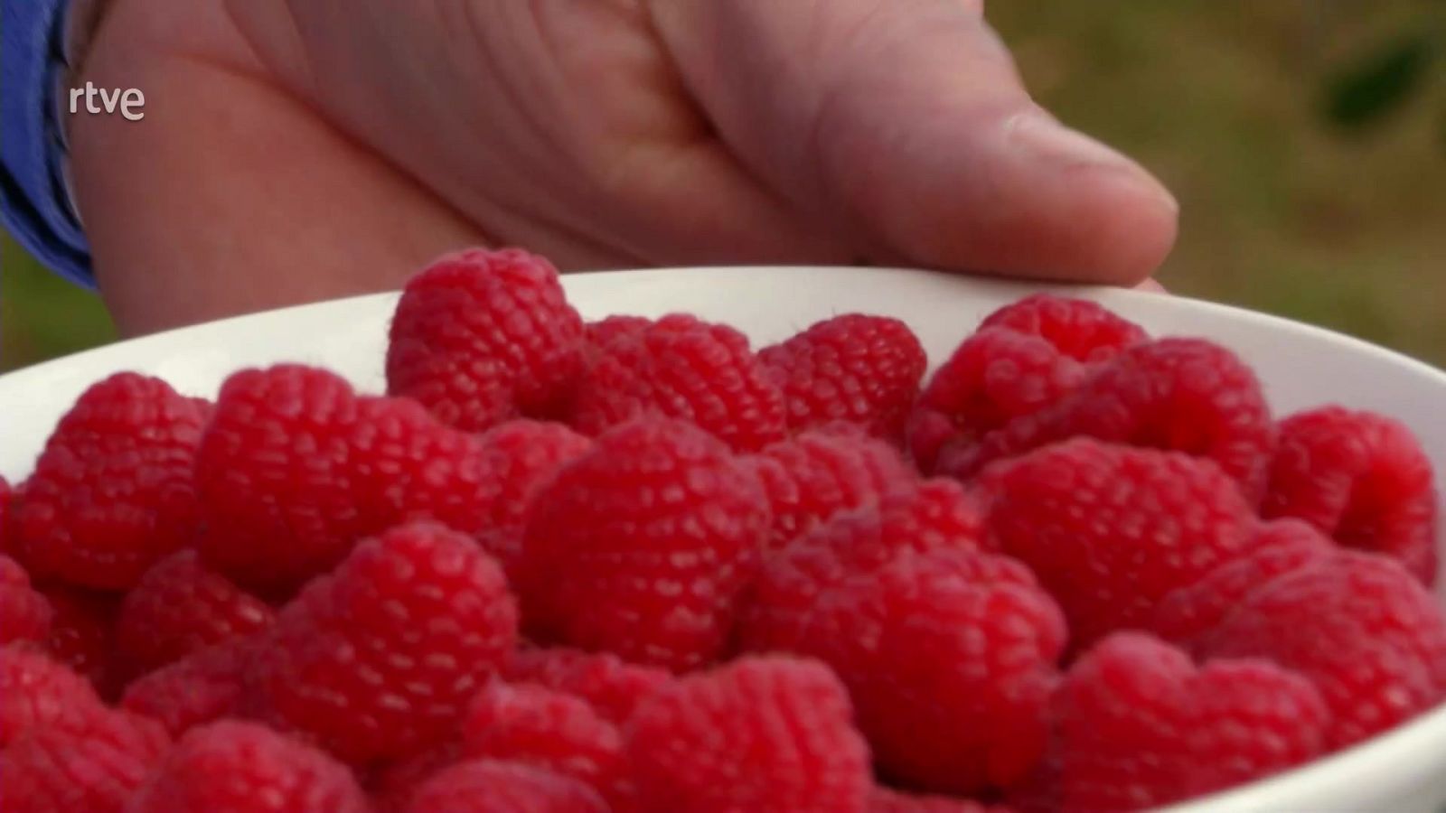 Aquí la Tierra - 22/11/20 - ver ahora