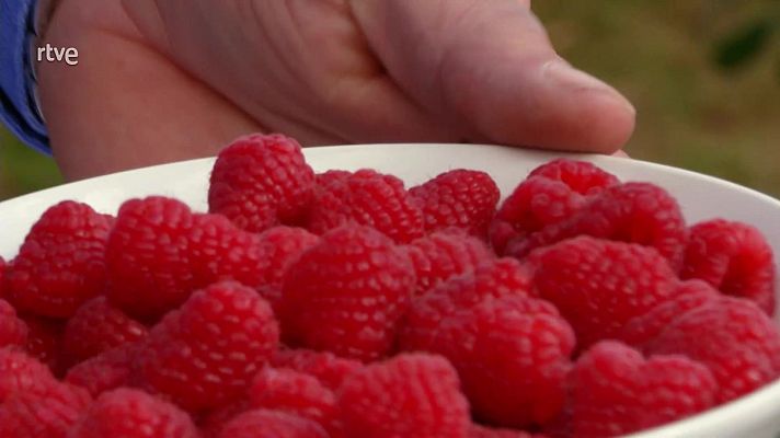 Aquí la Tierra - Aquí la Tierra - 22/11/20