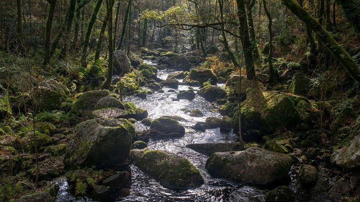 El tiempo - Predominio de cielos poco nubosos o despejados en gran parte del país