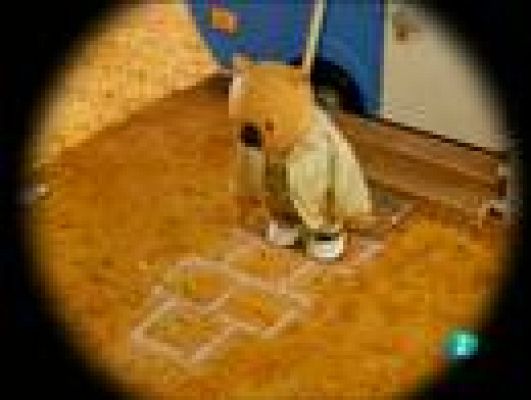  - Los hermanos Koala