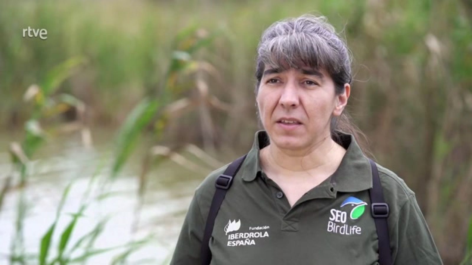 ¡QUÉ ANIMAL! - Entrevista a Ana Bermejo, bióloga - RTVE.es