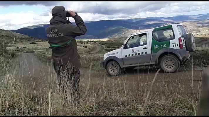 Aquí hay trabajo - Aquí hay trabajo - 23/11/20