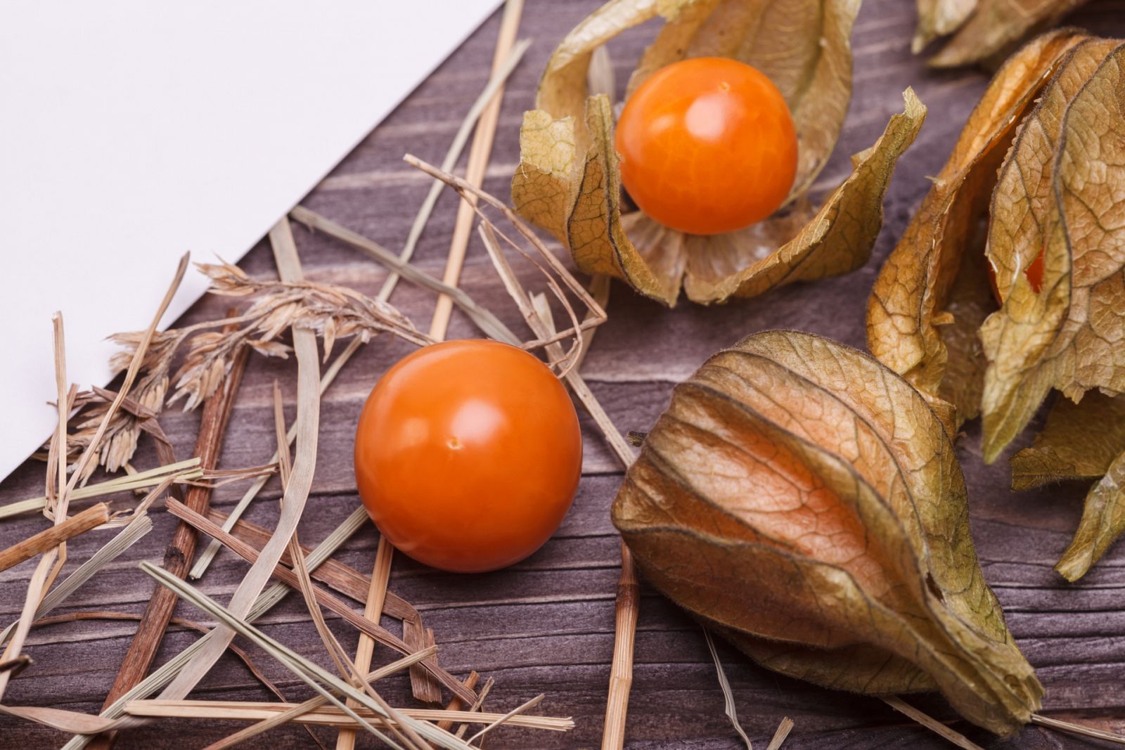 Physalis, una fruta peruana con multitud de propiedades