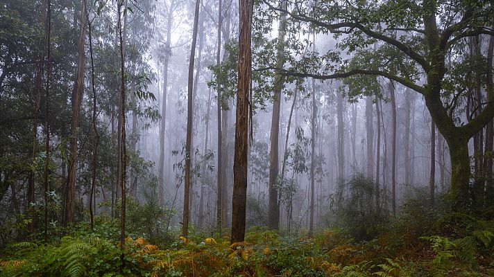 El tiempo - Precipitaciones persistentes en el extremo oeste de Galicia