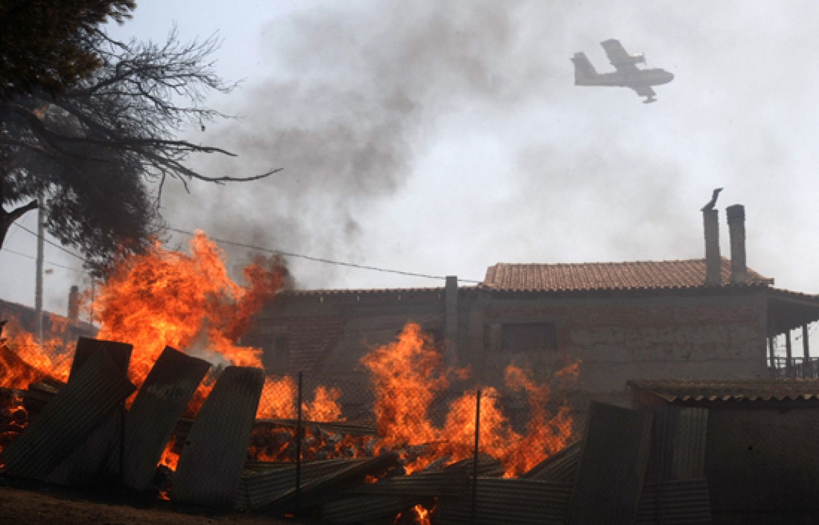 Los focos de fuego más cercanos a Atenas están apagados. Sólo quedan activos, aunque controlados, dos incendios en la Isla de Eu-Bea y en el Monte KIitai-Ronas, al oeste de la capital. 