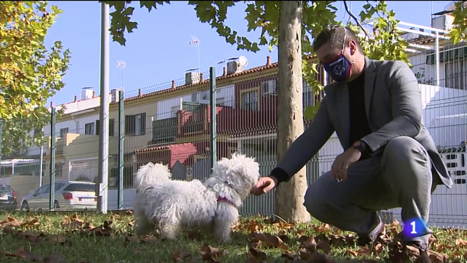 Los perros rastreadores podrán ser muy útiles  para realizar cribados en lugares como aeropuertos o estaciones.