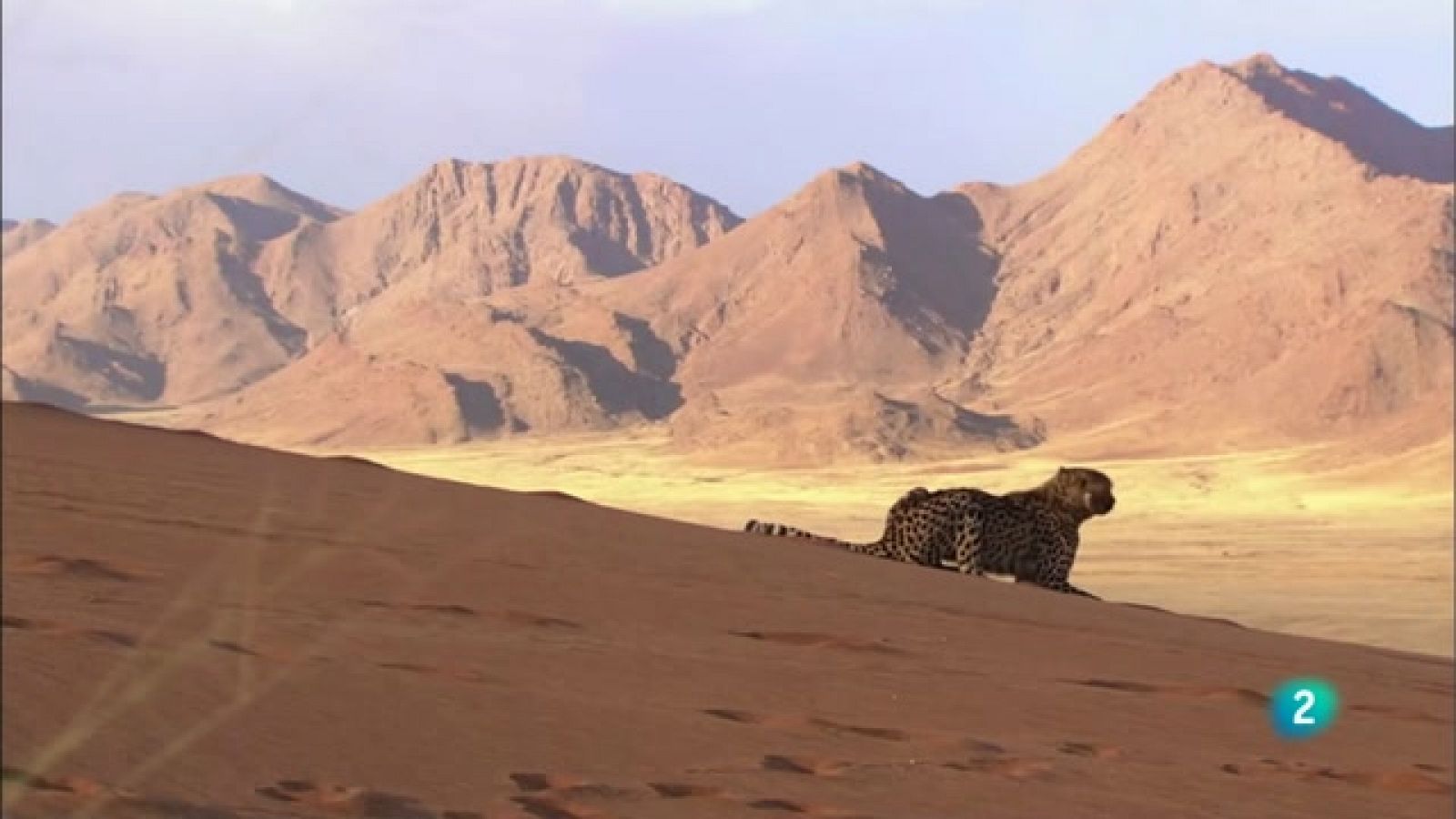 Grans documentals - Velocitat mortal 2: El desert