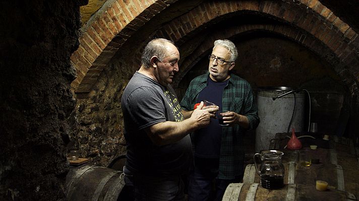 El paisano - Peñaranda de Duero