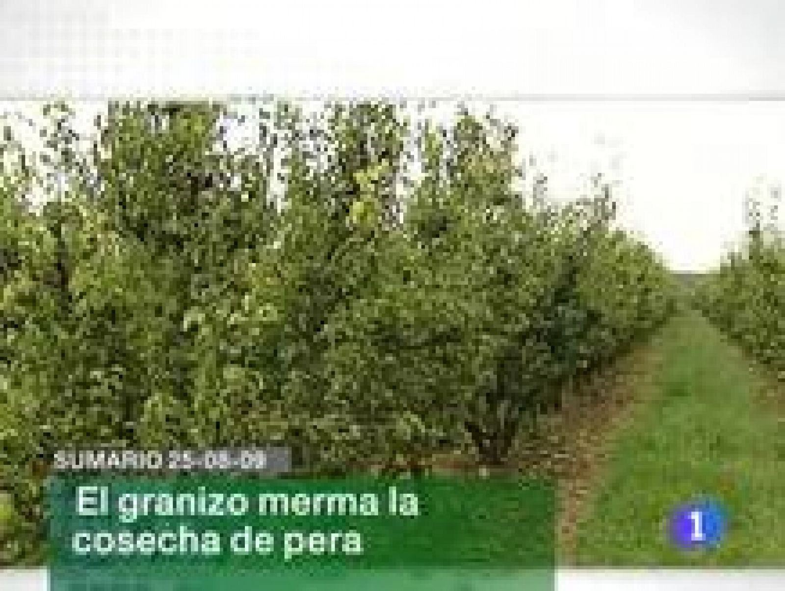 Informativo  Telerioja (25/08/09)