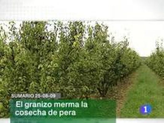 Informativo Telerioja - Informativo Telerioja - 25/08/09